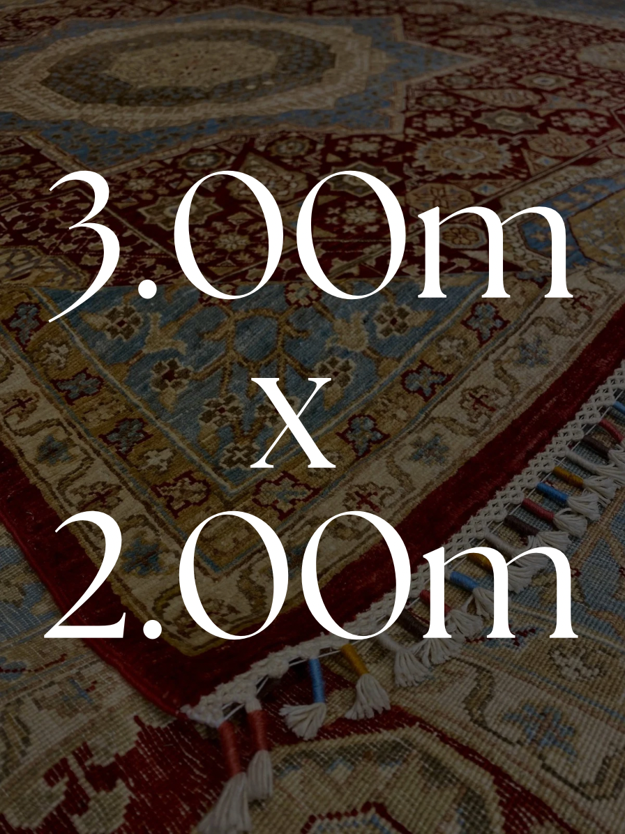 3.00m x 2.00m