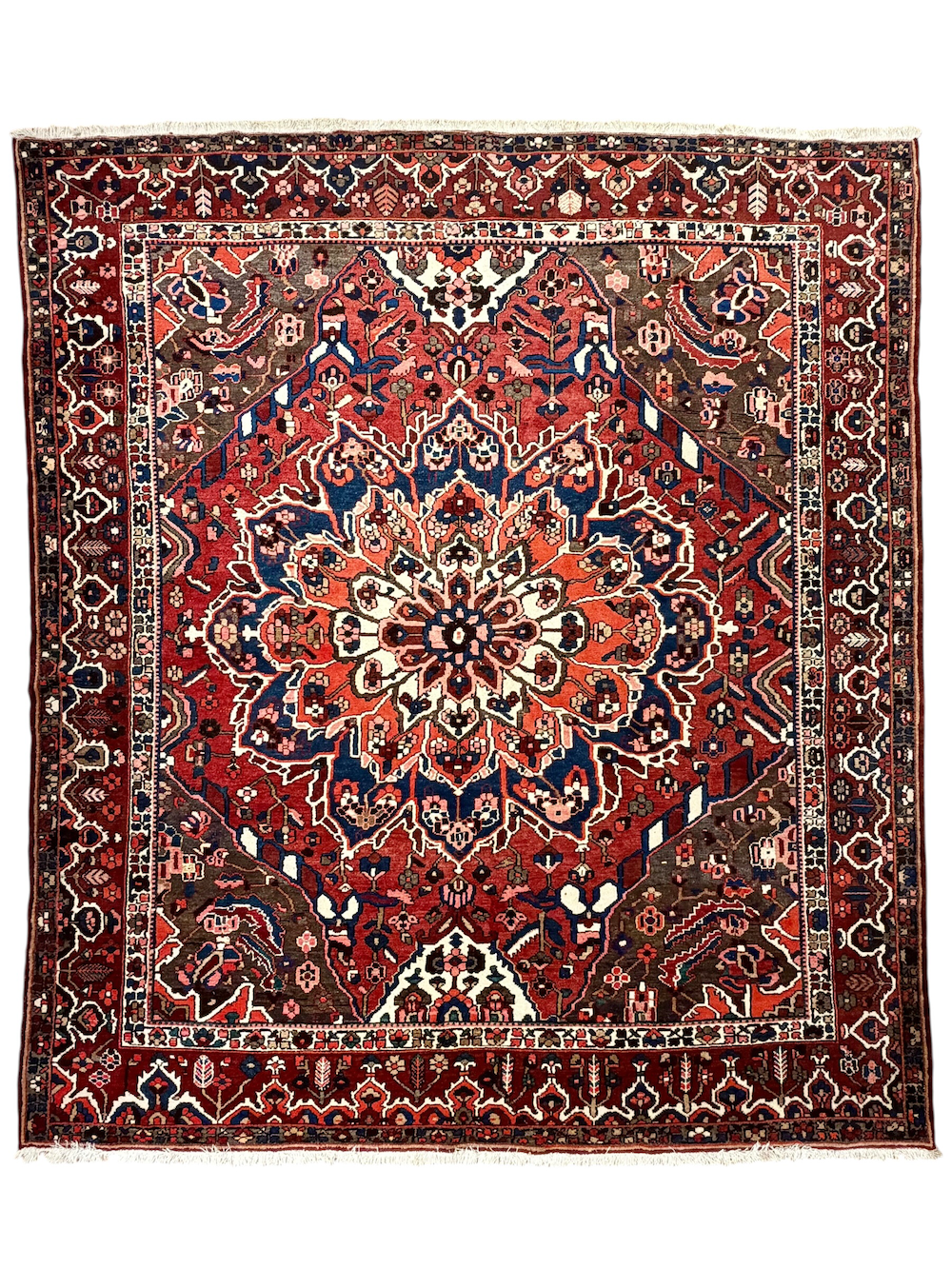 BAKHTIARI-F 3.10m x 2.52m