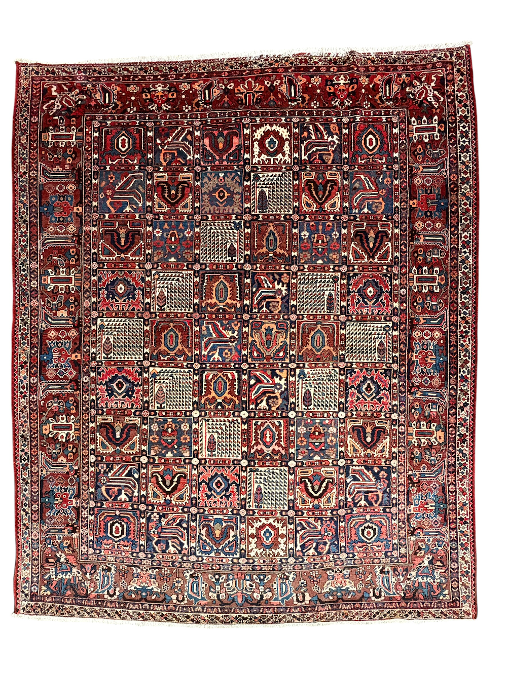 BAKHTIARI-G 3.60m x 2.95m
