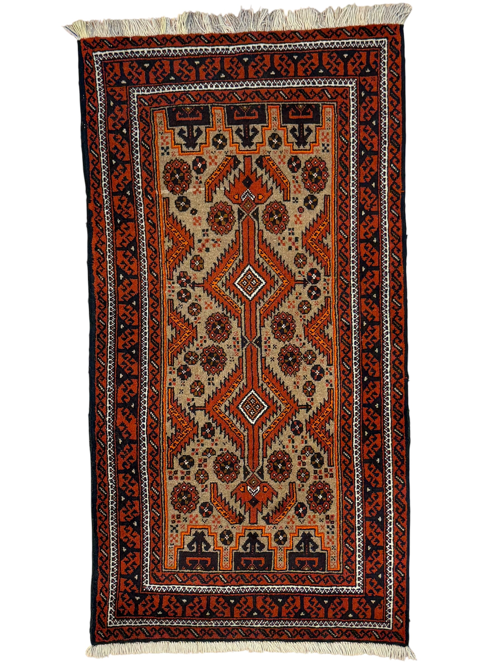 BALUCHI-H 1.63m x 0.86m