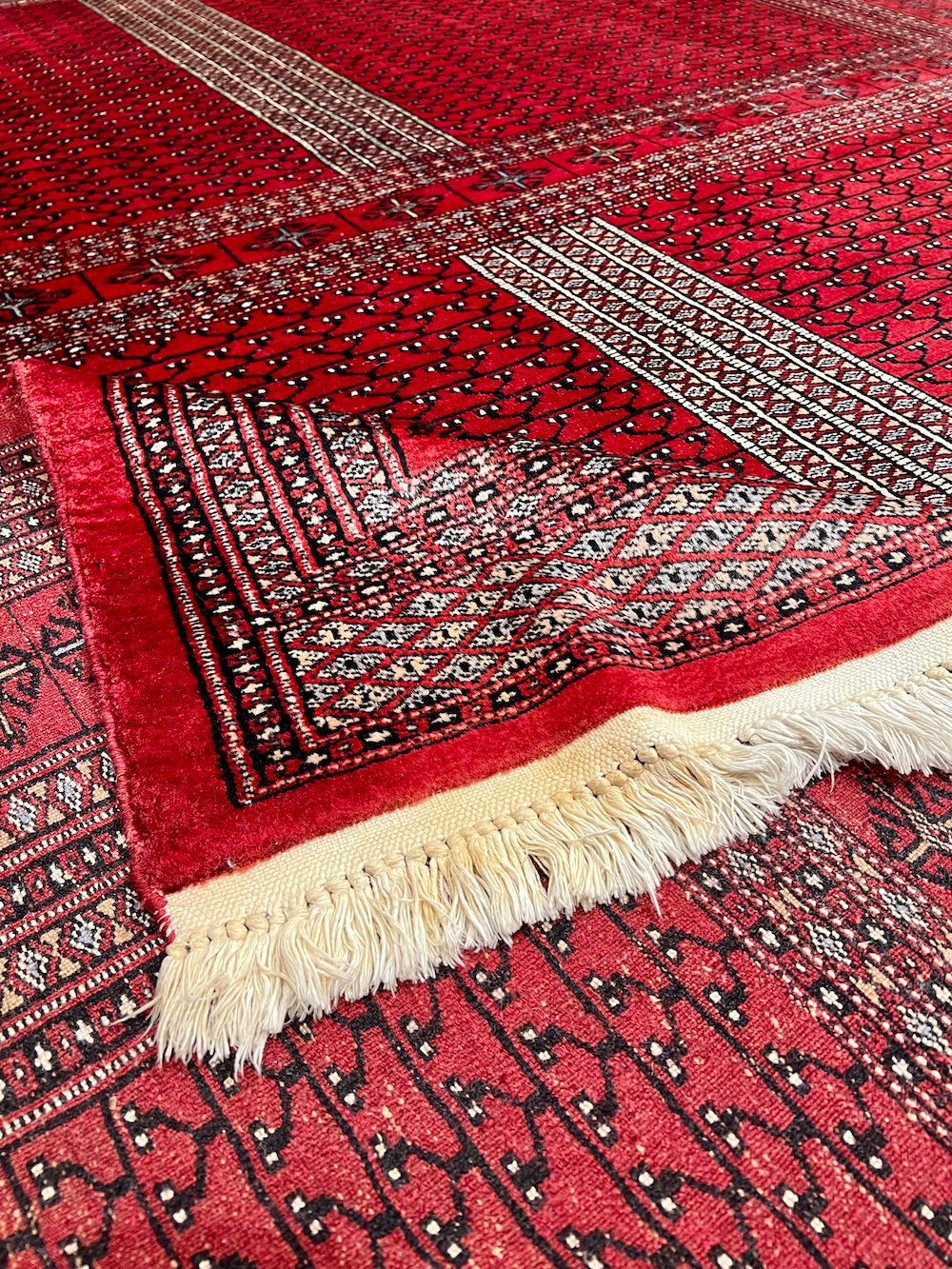 BOKHARA-S 3.00m x 2.52m