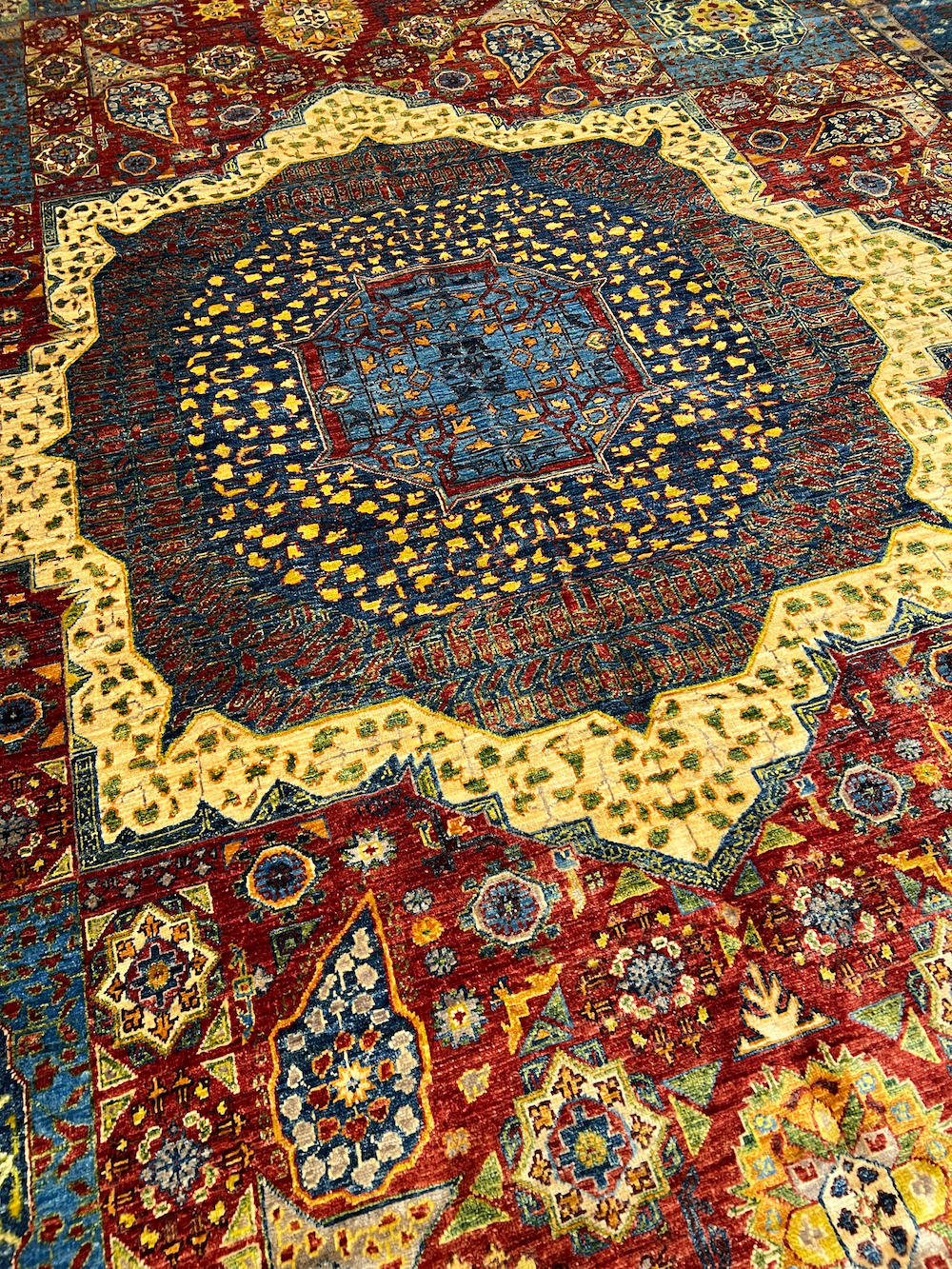 CHOBI-AK 4.17m x 3.04m
