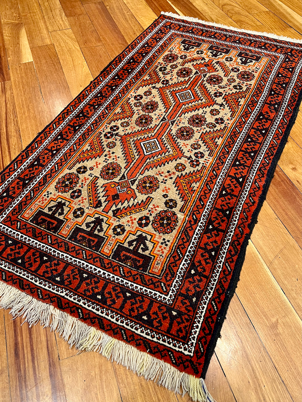 BALUCHI-H 1.63m x 0.86m